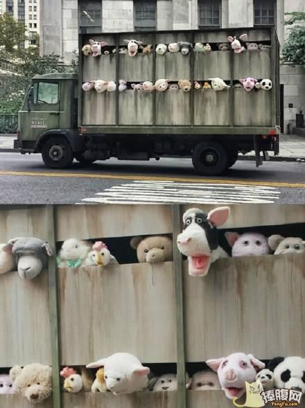 这是要吓唬谁呢