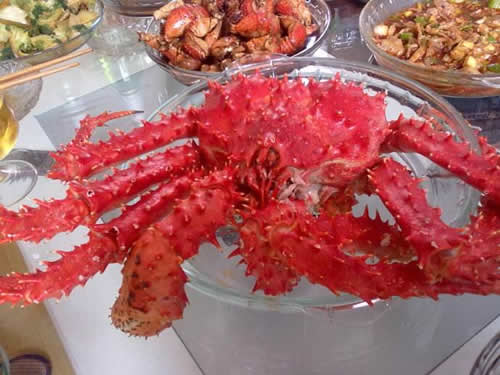 帝王蟹多少钱一斤:帝王蟹简介及2018帝王蟹价格 帝王蟹多少钱一斤:帝王蟹简介及2018帝王蟹价格