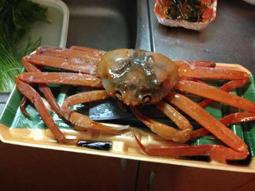 帝王蟹多少钱一斤:帝王蟹简介及2018帝王蟹价格 帝王蟹多少钱一斤:帝王蟹简介及2018帝王蟹价格