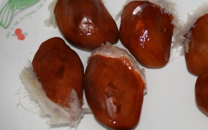 榴莲核能生吃吗 榴莲核的功效与作用【榴莲核】