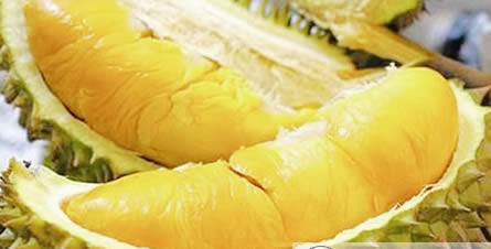 榴莲核能生吃吗 榴莲核的功效与作用【榴莲核】