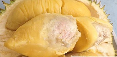 榴莲核能生吃吗 榴莲核的功效与作用【榴莲核】