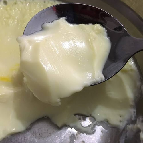 牛初乳怎么吃:牛初乳应什么时候吃最好该怎么吃才正确 牛初乳怎么吃:牛初乳应什么时候吃最好该怎么吃才正确