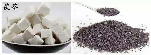 茯苓粉多少钱一斤:茯苓的分类和茯苓的主要功效 茯苓粉多少钱一斤:茯苓的分类和茯苓的主要功效