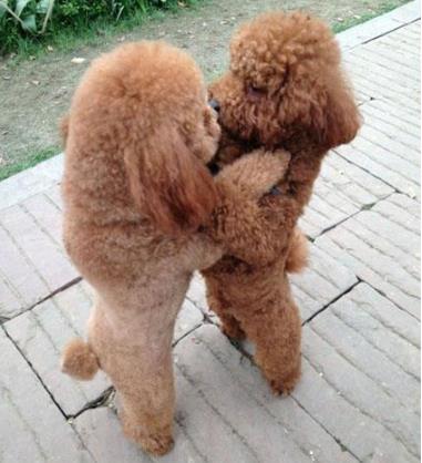 最近有木有想我啊！！！想shi了啊！