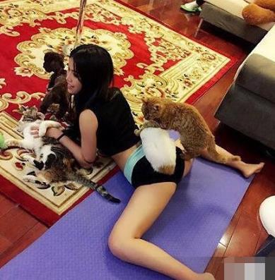 趣图精选5喵星人占了我的地盘