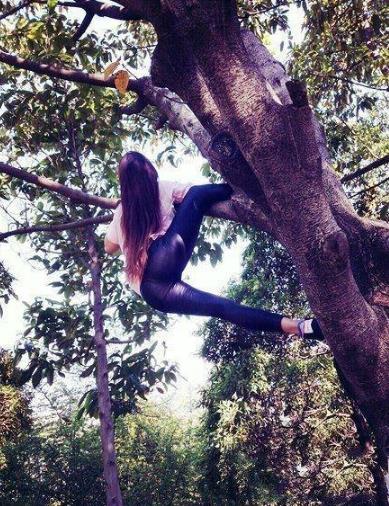 趣图精选5爬树很危险，轻易不要尝试