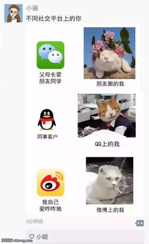 不同社交平台上的你