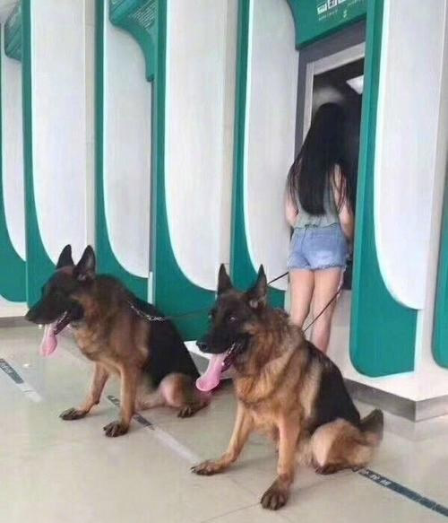 两个护卫，我看谁敢抢我钱