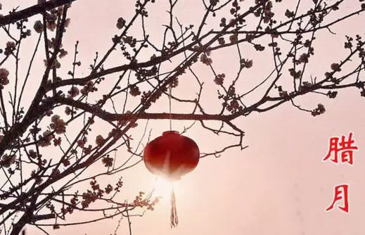 腊月是什么意思 腊月是几月 十二月为什么叫腊月 腊月是什么意思 腊月是几月 十二月为什么叫腊月