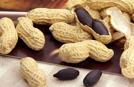 黑皮花生介绍:哪些人不适合食用黑皮花生 黑皮花生介绍:哪些人不适合食用黑皮花生