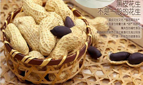 黑皮花生介绍:哪些人不适合食用黑皮花生 黑皮花生介绍:哪些人不适合食用黑皮花生