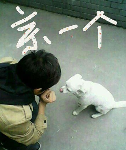 单身久了连狗都不放过了