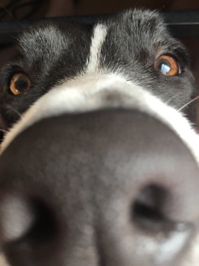 听说这样拍照显脸小：你觉得呢【爆笑图片】