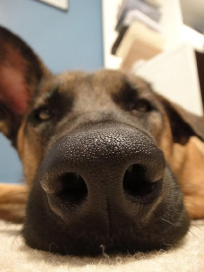 听说这样拍照显脸小：你觉得呢【爆笑图片】