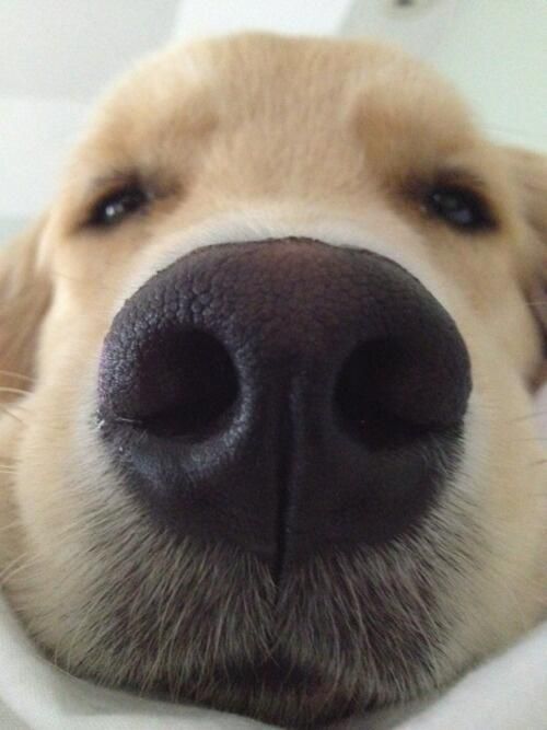 听说这样拍照显脸小：你觉得呢【爆笑图片】