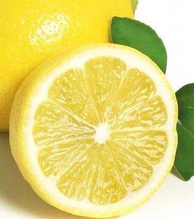 4种难吃食物:却营养丰富(图) 4种难吃食物:却营养丰富(图)