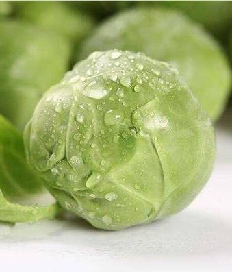 肾不好人就老:3种食物能补肾【健康养生】 肾不好人就老:3种食物能补肾【健康养生】