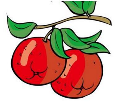 孕妈妈一定要少吃这些水果!