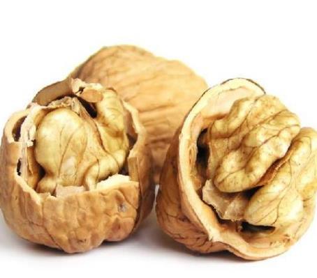 春节年货必备： 8种坚果减肥抗癌供你选