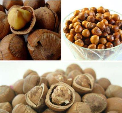 春节年货必备： 8种坚果减肥抗癌供你选