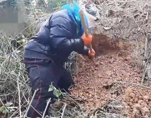 大叔发现怪洞 刨开后羡煞旁人!(组图) 大叔发现怪洞 刨开后羡煞旁人!(组图)