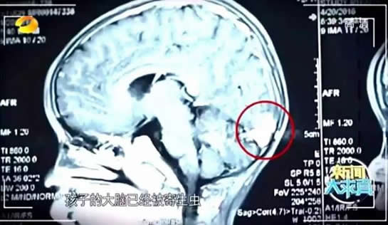 快过年了,不要喂我孩子吃这些食物（图）