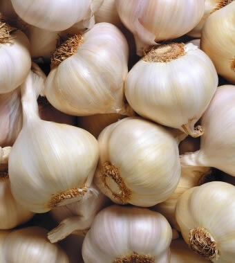 胃炎怎么治疗:急性胃炎偏方你可以试试 胃炎怎么治疗:急性胃炎偏方你可以试试