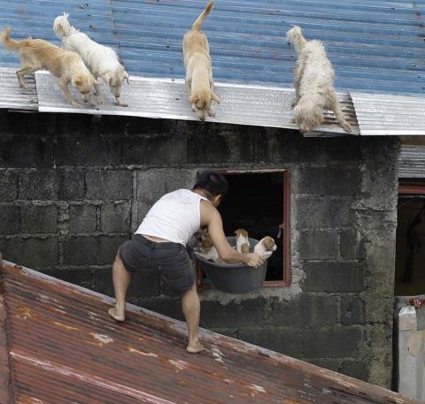 10个人与动物最感人的瞬间：人与动物温暖有爱（图）