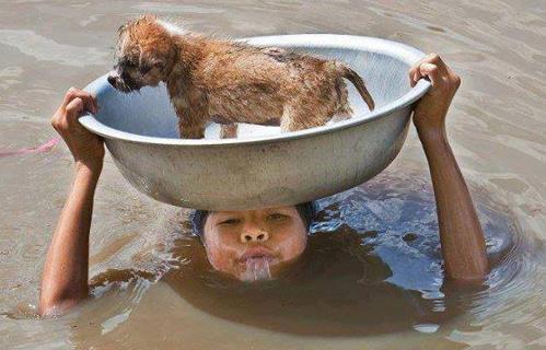 10个人与动物最感人的瞬间：人与动物温暖有爱（图）