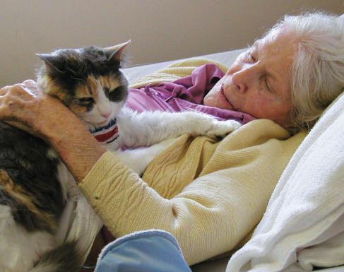 10个人与动物最感人的瞬间：人与动物温暖有爱（图）