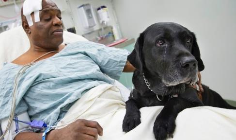 10个人与动物最感人的瞬间：人与动物温暖有爱（图）