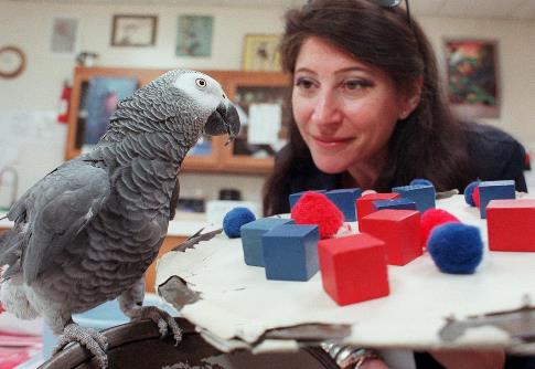 10个人与动物最感人的瞬间：人与动物温暖有爱（图）