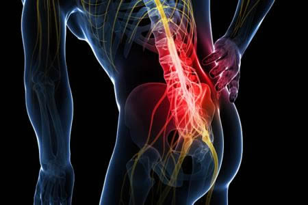 肾阳虚吃什么?吃这些食物可调理肾阳虚