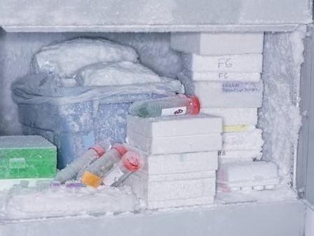 冰箱结冰怎么办:冰箱生活小技巧 冰箱结冰怎么办:冰箱生活小技巧