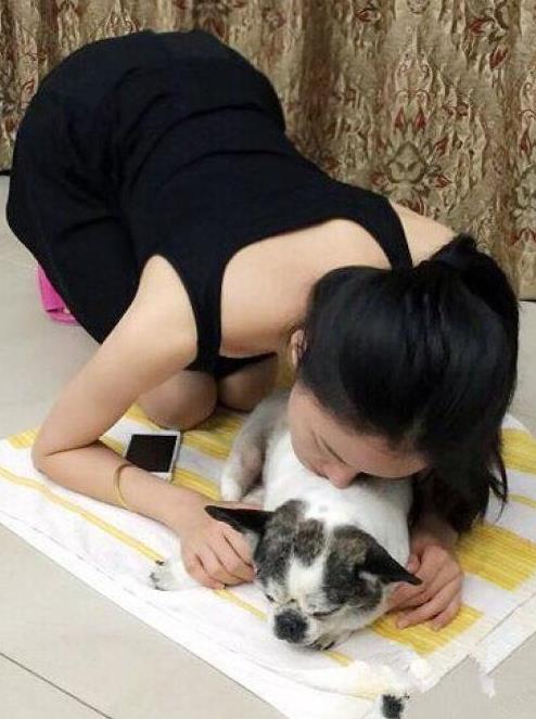 铲屎的你走开，别打扰本尊睡觉