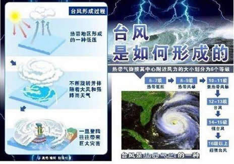 台风是怎么形成的：台风形成需要4个条件（图）