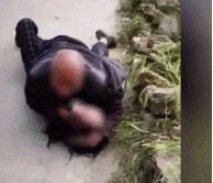 女子遭老人强压身下强吻,嘶喊被指无人救（图）