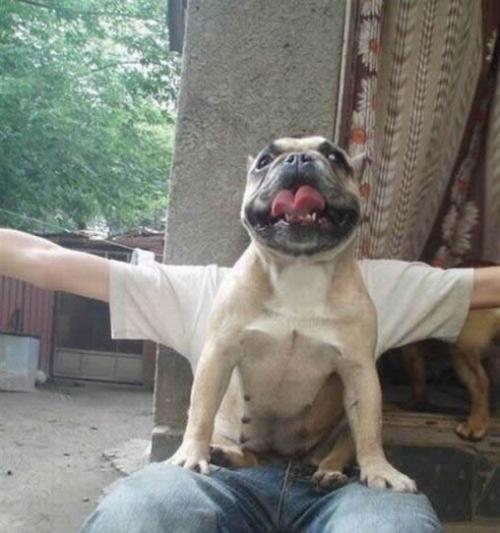 笑图片笑死人：看你能憋住不笑搞笑图片笑死人