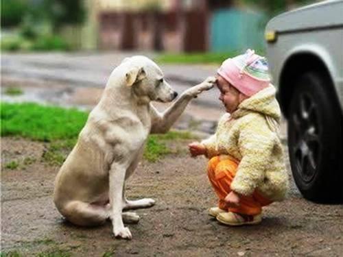 人要怎样会长寿:人的长寿秘诀是什么看看你占几个 人要怎样会长寿:人的长寿秘诀是什么看看你占几个