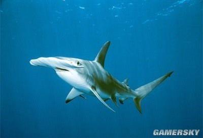 世界十大解谜：十大已解密未解之谜（图）