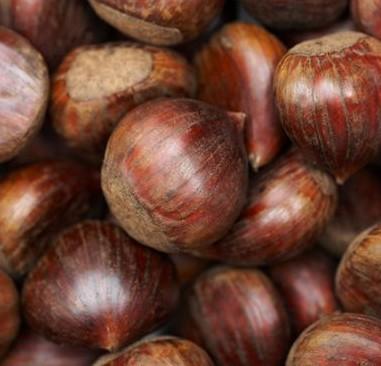 男人吃栗子有什么好处?养胃健脾提高抵抗力 男人吃栗子有什么好处?养胃健脾提高抵抗力