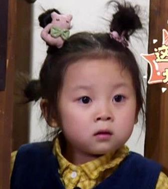 萌宠六个小孩都是谁:萌宠小大人六个萌娃资料介绍 萌宠六个小孩都是谁:萌宠小大人六个萌娃资料介绍