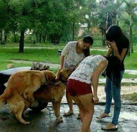 妹子，你们看啥看的那么认真