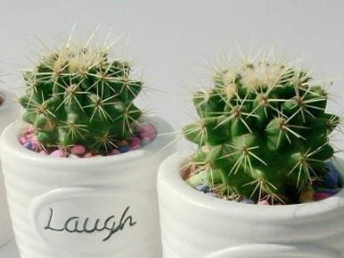 晚上睡觉要不要关WiFi?真相惊人(4个真相) 晚上睡觉要不要关WiFi?真相惊人(4个真相)