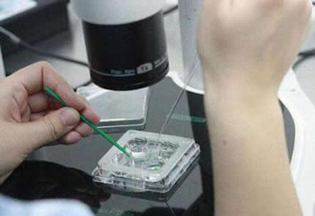 冻卵是什么 冻卵需要什么条件(全文揭晓) 冻卵是什么 冻卵需要什么条件(全文揭晓)