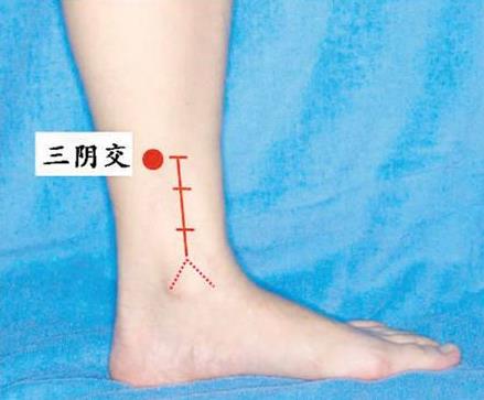 晚上按这里睡觉最舒服:一觉睡到自然醒(图) 晚上按这里睡觉最舒服:一觉睡到自然醒(图)