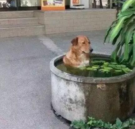 和女朋友好担心她的绳子断了：你感觉呢【搞笑】