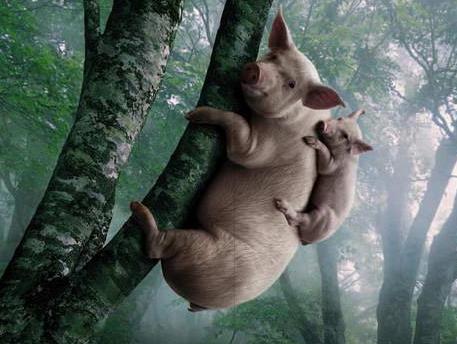 和女朋友好担心她的绳子断了：你感觉呢【搞笑】