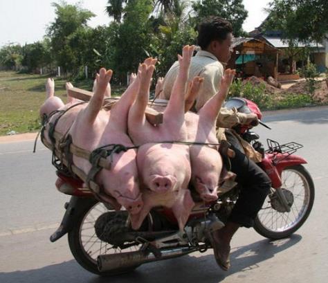 和女朋友好担心她的绳子断了：你感觉呢【搞笑】